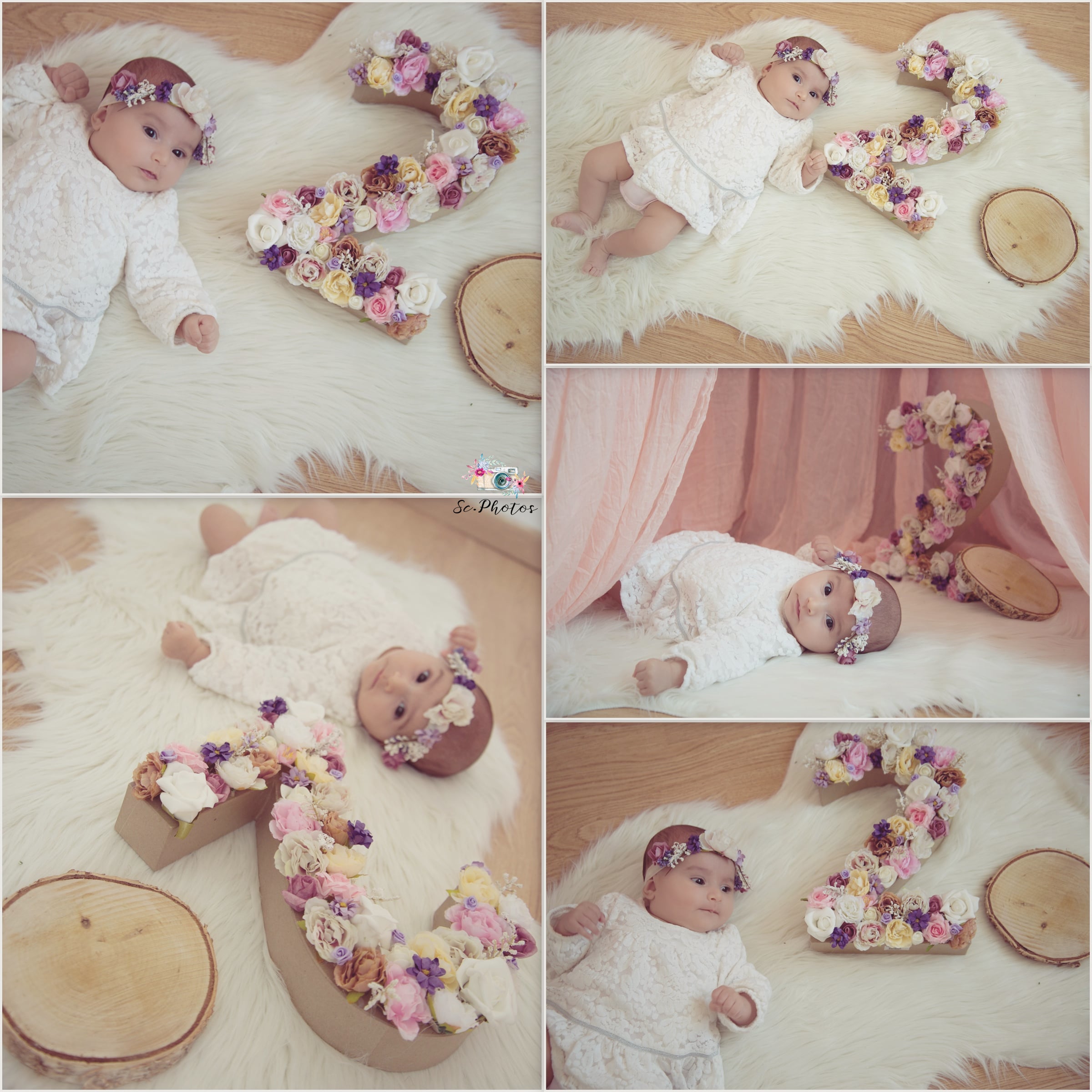 Month Number